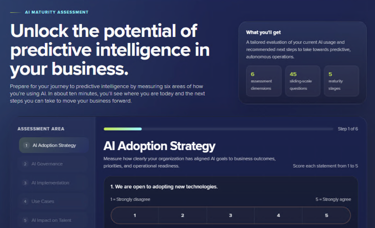 The AI Maturity Assessment