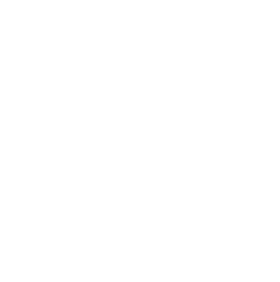 An icon of a computer mouse clicking on a video