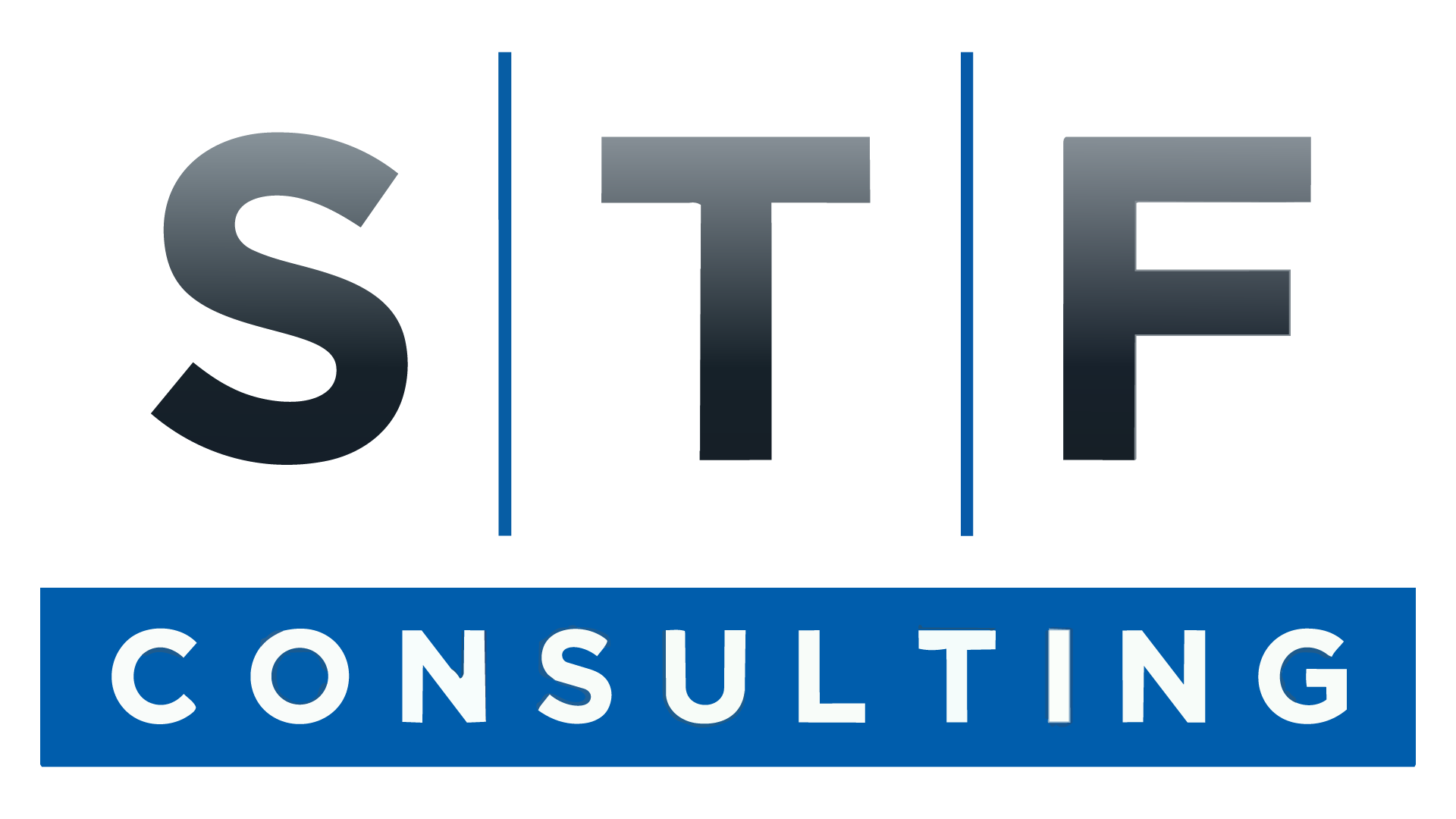 STF Consulting Partner Success Story