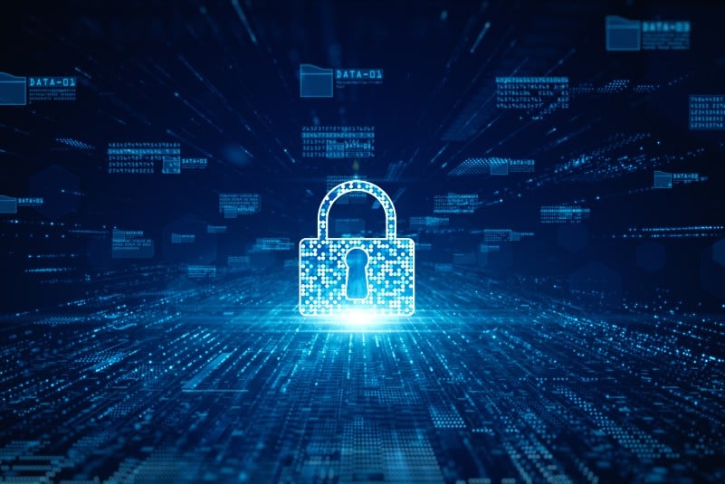 Data security management for 2026: Strategies to build operational resilience