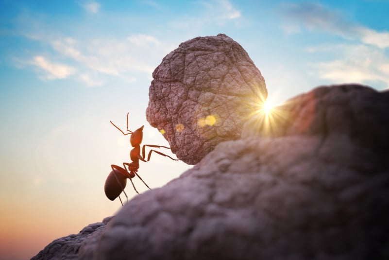 Don’t be the grasshopper: How MSPs can build momentum through Q4